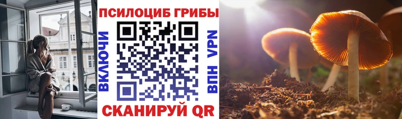 Псилоцибиновые грибы мицелий Лахденпохья