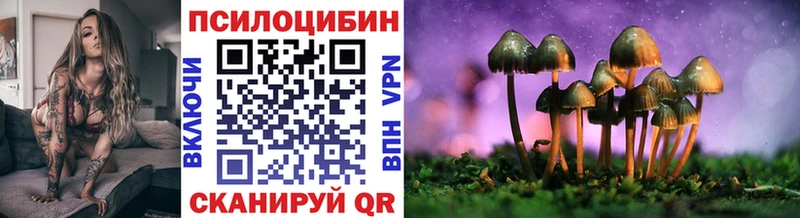 KRAKEN как войти  Лахденпохья  Галлюциногенные грибы Psilocybe  наркота 